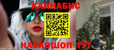 соль ск Будённовск